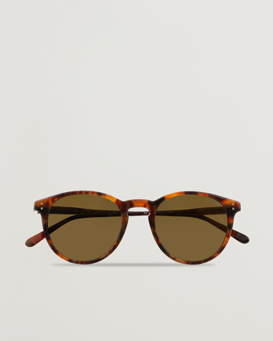 Herre | Assesoarer | Polo Ralph Lauren | 0PH4110 Sunglasses Havana