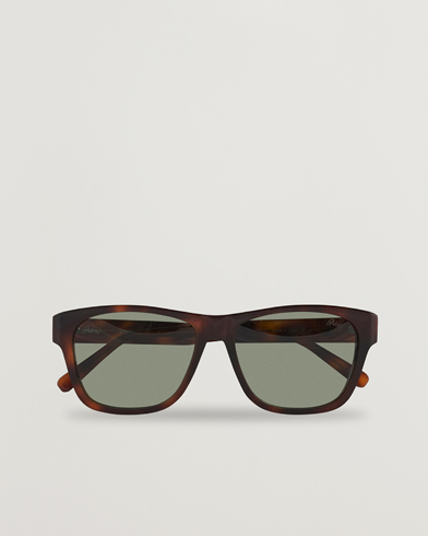 Herre | Buede solbriller | Brioni | BR0081S Sunglasses Havana/Green