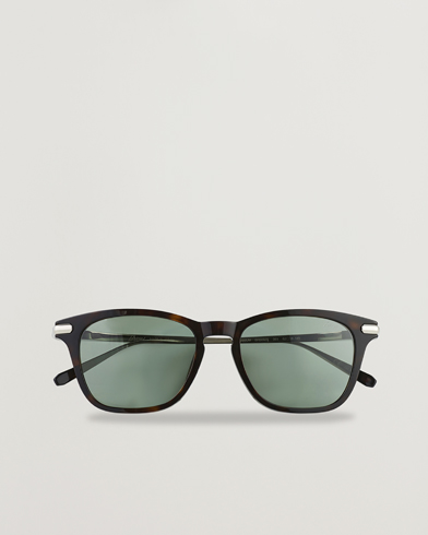 Herre | Buede solbriller | Brioni | BR0092S Titanium Sunglasses Havana Green