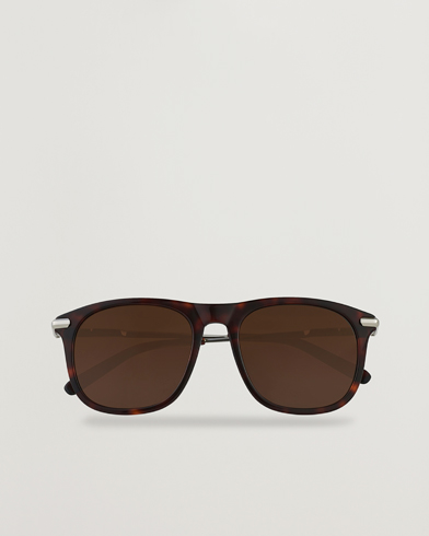 Herre | Pilotsolbriller | Brioni | BR0094S Sunglasses Havana Brown