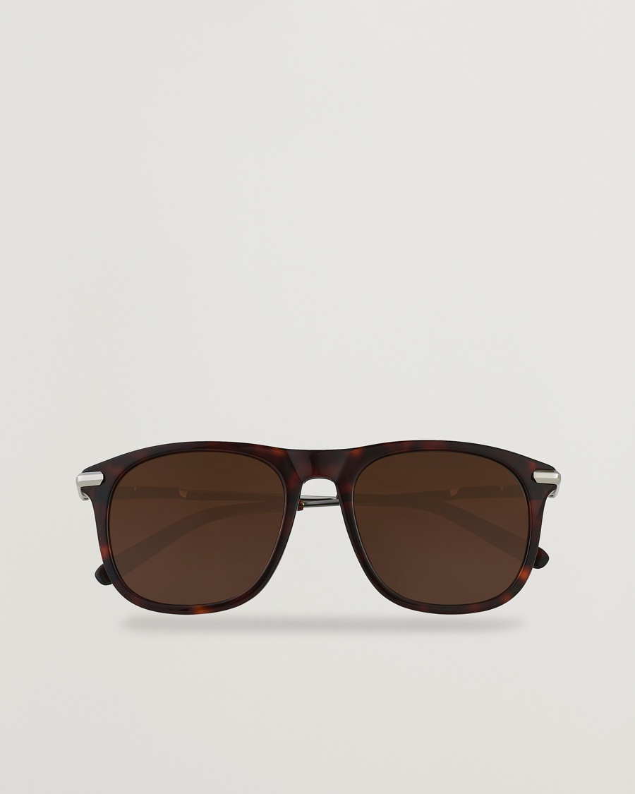 Herre | | Brioni | BR0094S Sunglasses Havana Brown