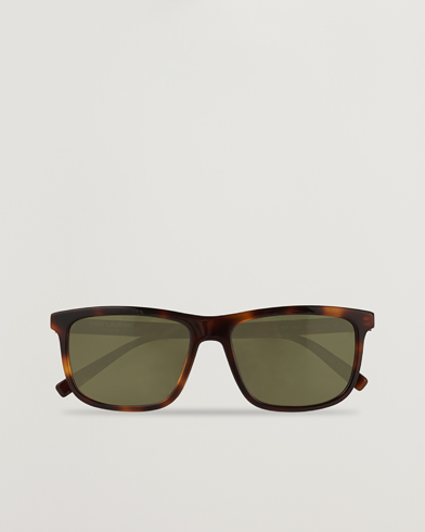 Herre |  | Saint Laurent | SL 501 Sunglasses Havana/Green