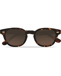  Webb Sunglasses Tortoise