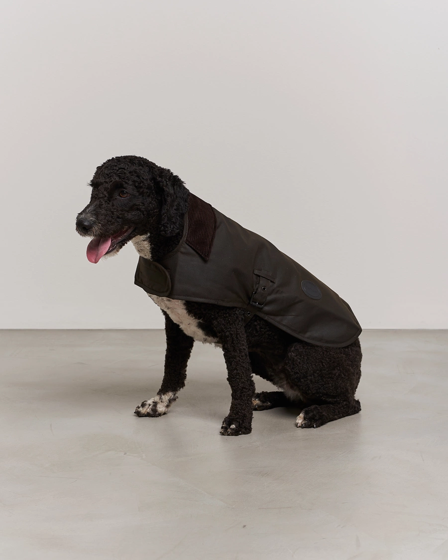 Herre |  | Barbour Lifestyle | Classic Wax Dog Coat Olive