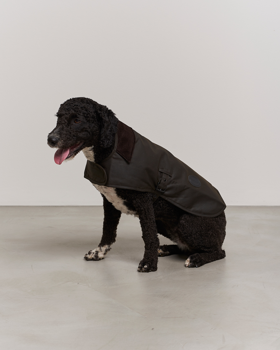 Herre | Barbour Lifestyle Classic Wax Dog Coat Olive | Barbour Lifestyle | Classic Wax Dog Coat Olive