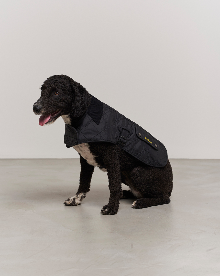 Herre | Barbour International Polar Dog Coat Black | Barbour International | Polar Dog Coat Black