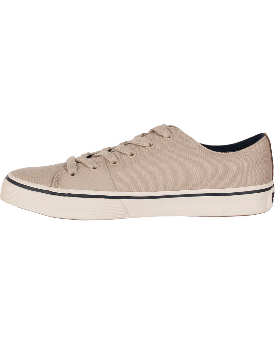 Herre | Polo Ralph Lauren Cantor Low-NE Sneaker Stone Grey | Polo Ralph Lauren | Cantor Low-NE Sneaker Stone Grey