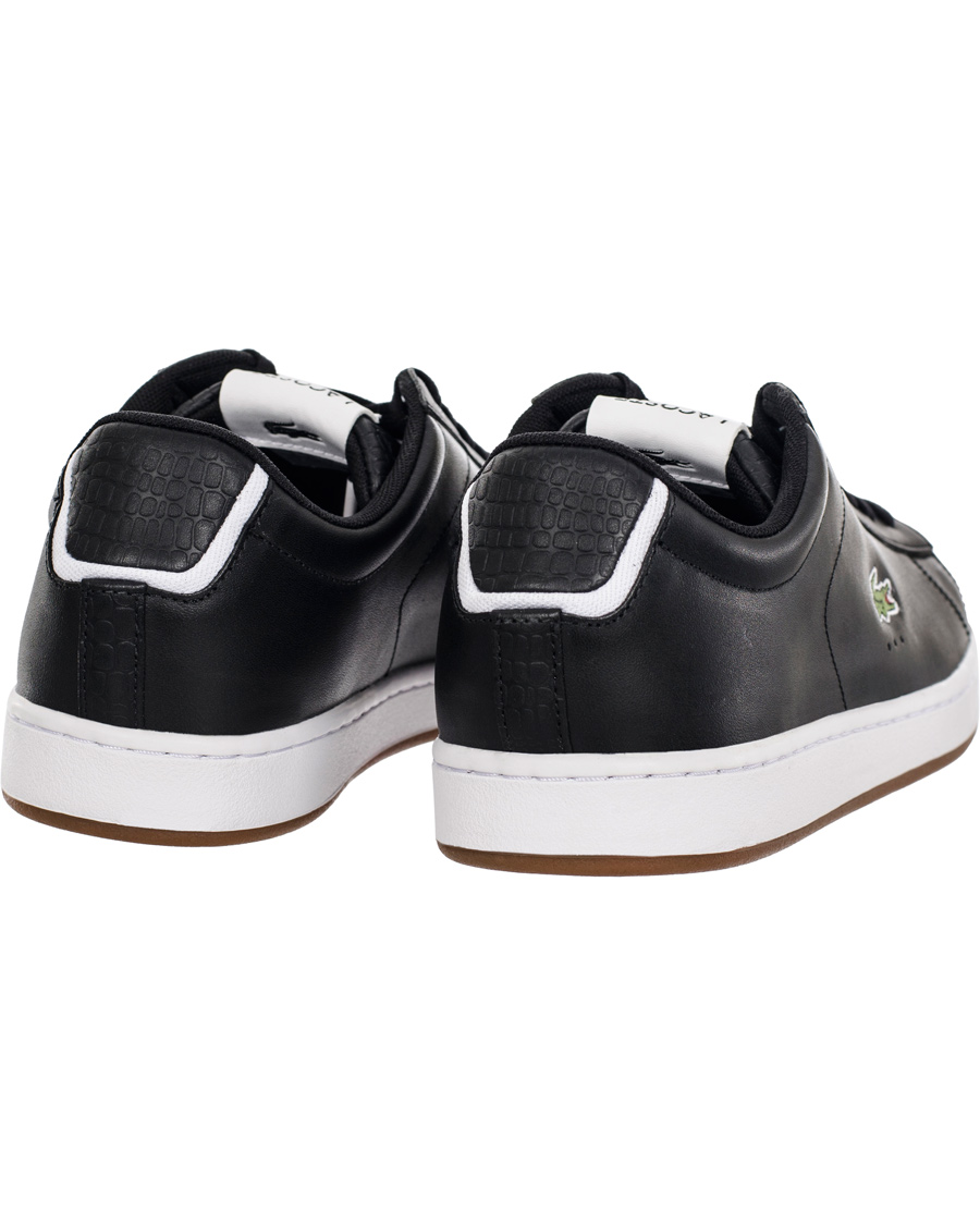 Herre | Lacoste Carnaby Evo Croc Black/White | Lacoste | Carnaby Evo Croc Black/White