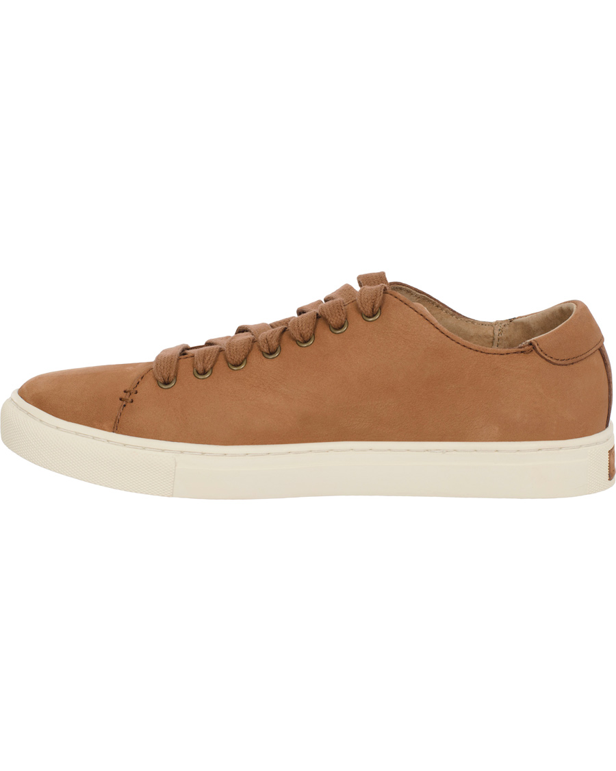 Herre | Polo Ralph Lauren Jermain Sneaker Polo Tan | Polo Ralph Lauren | Jermain Sneaker Polo Tan