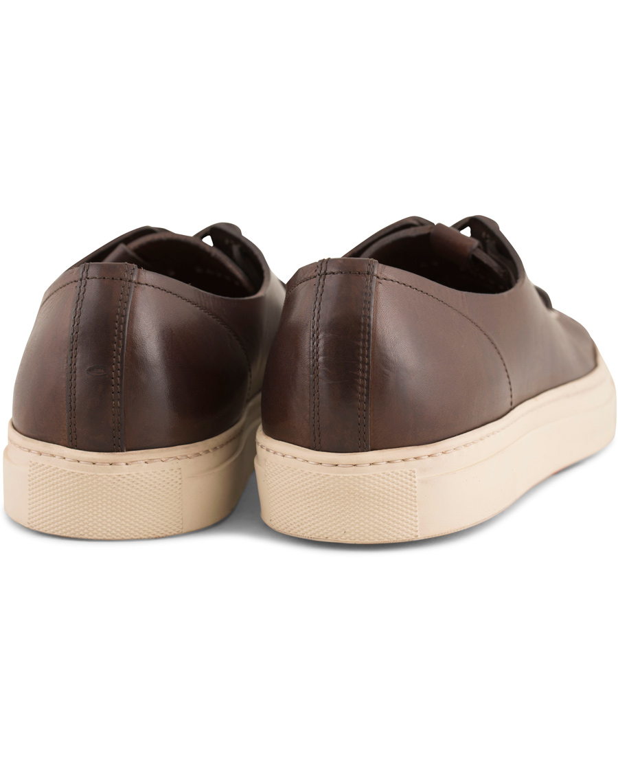 Herre | Buttero Sneaker Dark Brown Calf | Buttero | Sneaker Dark Brown Calf