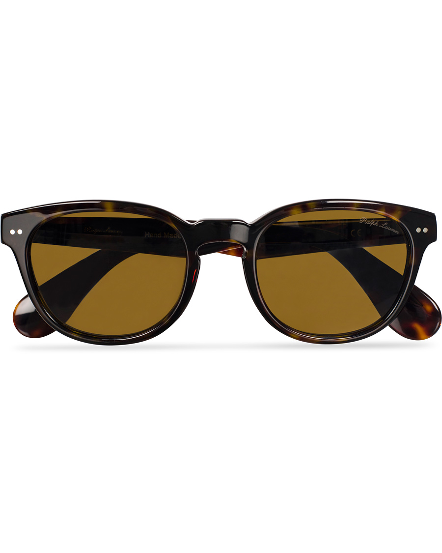 Herre | Ralph Lauren Purple Label RL8130P Sunglasses Dark Havana/Brown | Ralph Lauren Purple Label | RL8130P Sunglasses Dark Havana/Brown
