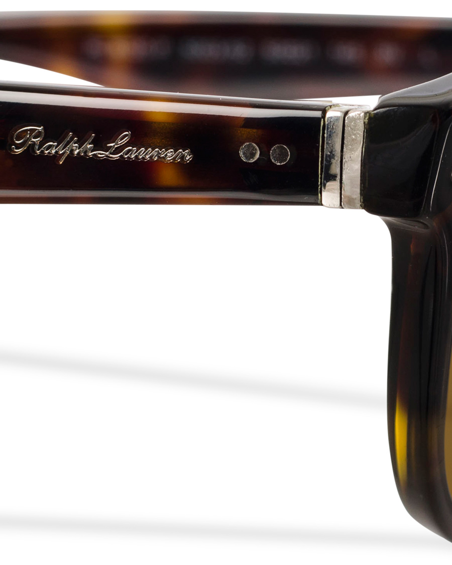 Herre | Ralph Lauren Purple Label RL8130P Sunglasses Dark Havana/Brown | Ralph Lauren Purple Label | RL8130P Sunglasses Dark Havana/Brown