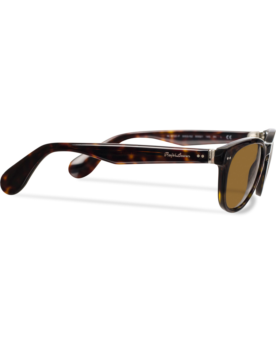 Herre | Ralph Lauren Purple Label RL8130P Sunglasses Dark Havana/Brown | Ralph Lauren Purple Label | RL8130P Sunglasses Dark Havana/Brown