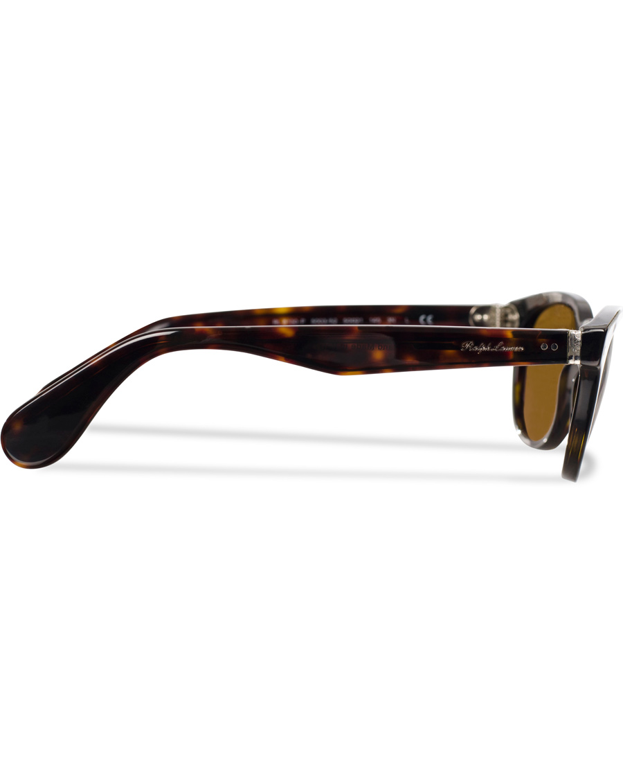 Herre | Ralph Lauren Purple Label RL8130P Sunglasses Dark Havana/Brown | Ralph Lauren Purple Label | RL8130P Sunglasses Dark Havana/Brown