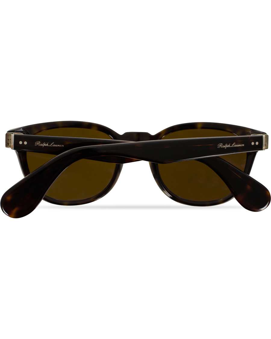 Herre | Ralph Lauren Purple Label RL8130P Sunglasses Dark Havana/Brown | Ralph Lauren Purple Label | RL8130P Sunglasses Dark Havana/Brown