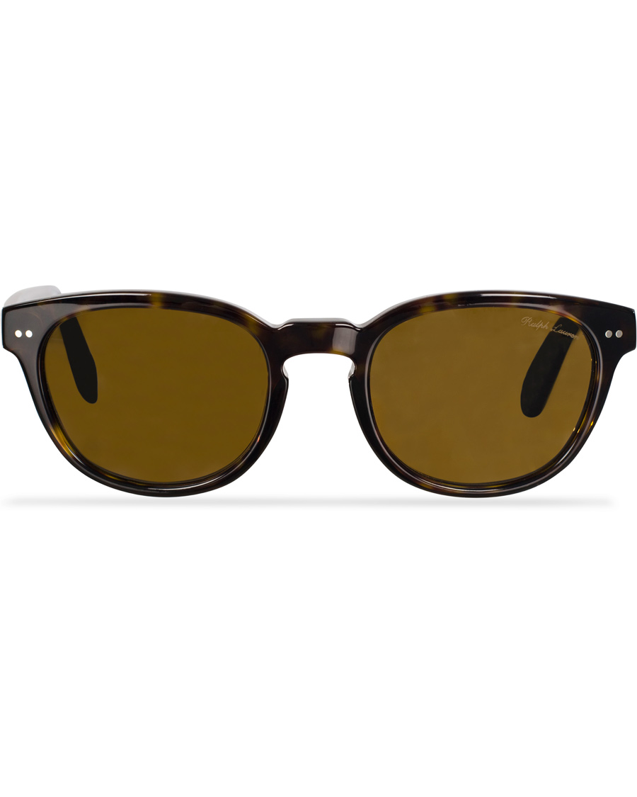 Herre | Ralph Lauren Purple Label RL8130P Sunglasses Dark Havana/Brown | Ralph Lauren Purple Label | RL8130P Sunglasses Dark Havana/Brown