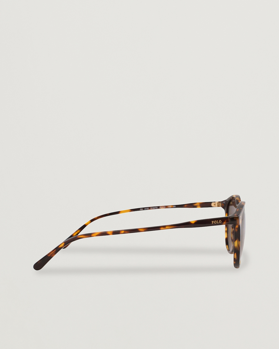 Herre | Solbriller | Polo Ralph Lauren | 0PH4110 Round Sunglasses Havana