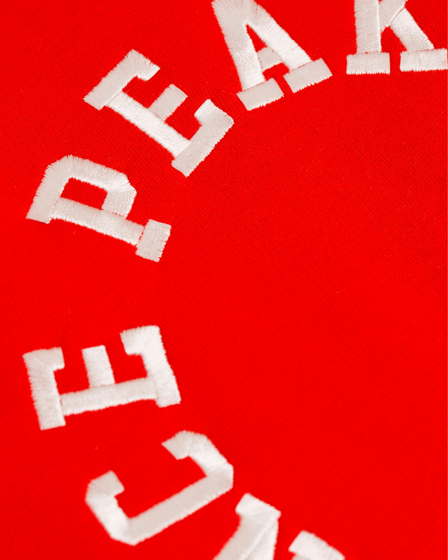 Herre | Gensere | Peak Performance | Logo Hoodie Racing Red