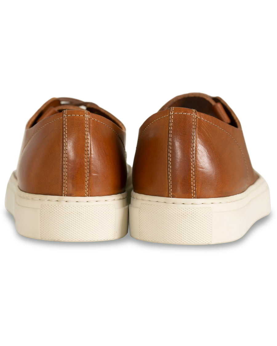 Herre | Buttero Calf Sneaker Congac | Buttero | Calf Sneaker Congac