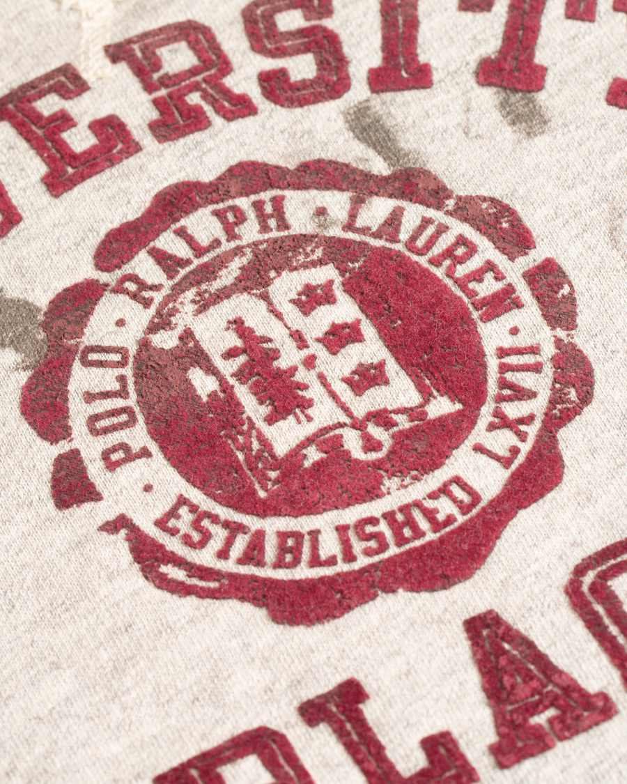 Herre | Gensere | Polo Ralph Lauren | Varsity Crew Neck Sweatshirt Stadium Grey