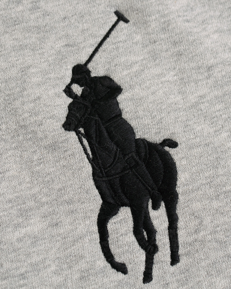 Herre | Gensere | Polo Ralph Lauren | Big Pony Hoodie Andover Heather