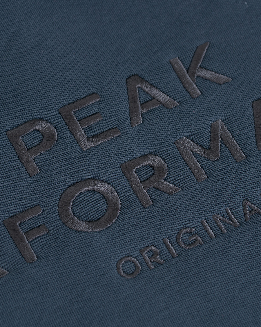 Herre | Gensere | Peak Performance | Original Hoodie Blue Steel