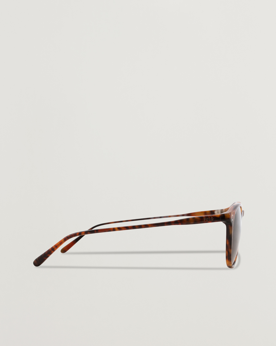 Herre | Solbriller | Polo Ralph Lauren | 0PH4110 Sunglasses Havana