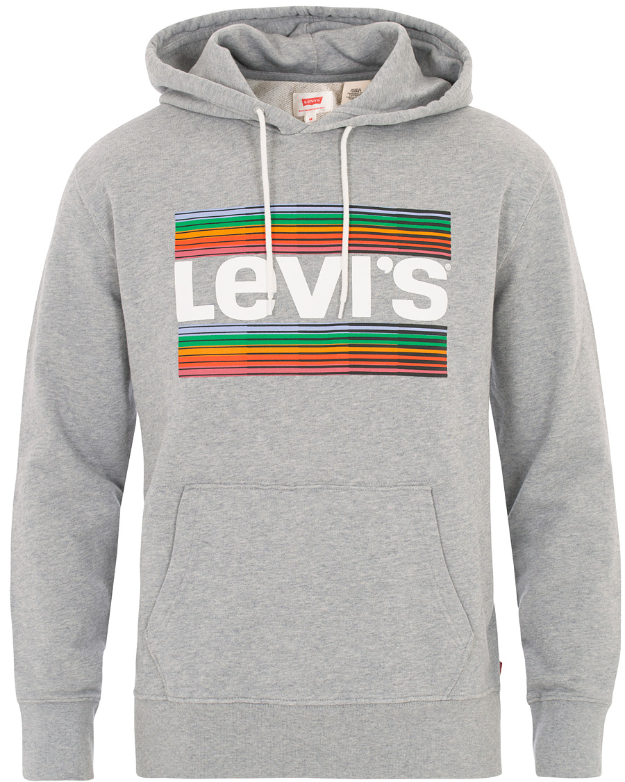 Herre | Gensere | Levi's | Graphic Hoodie Grey