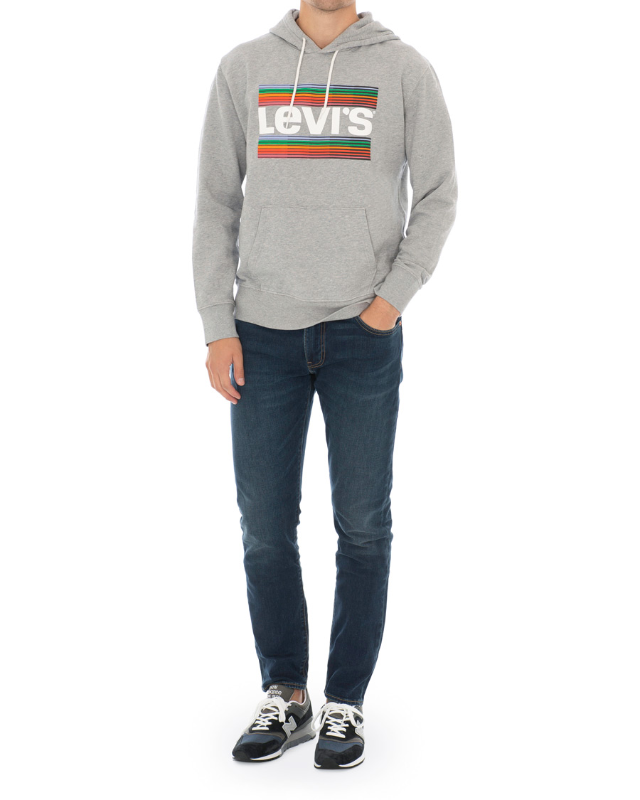 Herre | Gensere | Levi's | Graphic Hoodie Grey