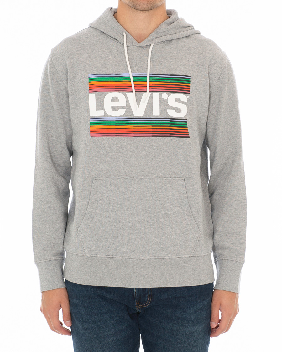 Herre | Gensere | Levi's | Graphic Hoodie Grey