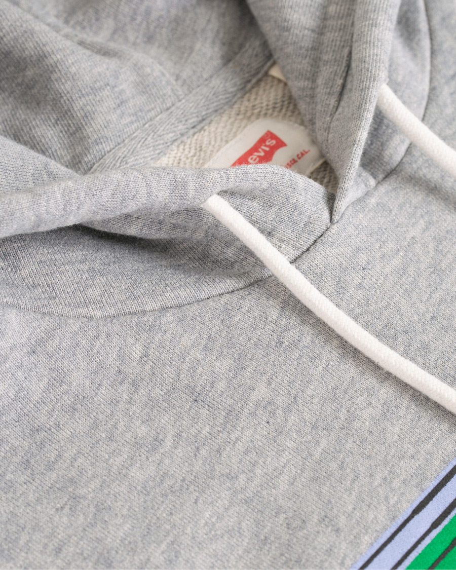 Herre | Gensere | Levi's | Graphic Hoodie Grey