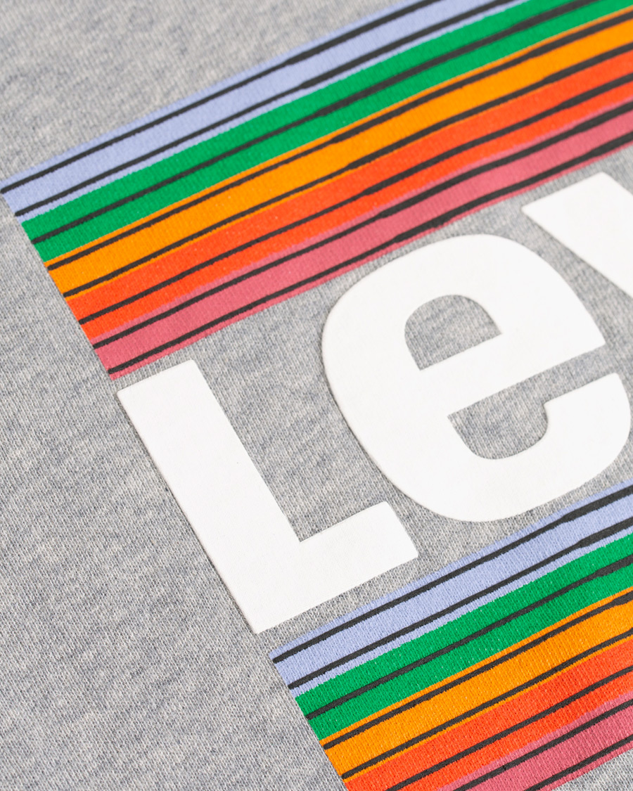Herre | Gensere | Levi's | Graphic Hoodie Grey
