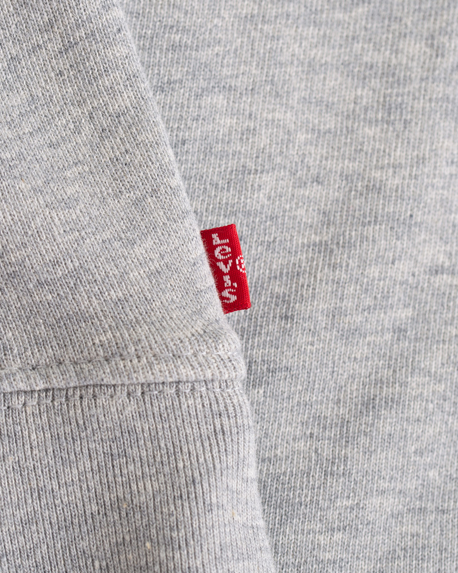 Herre | Gensere | Levi's | Graphic Hoodie Grey
