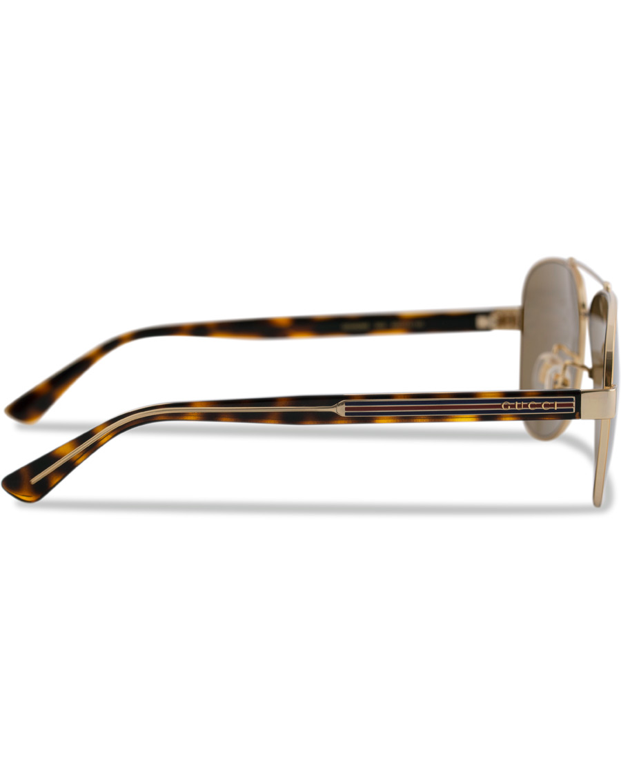 Herre | Gucci GG0528S Sunglasses Crystal/Brown | Gucci | GG0528S Sunglasses Crystal/Brown