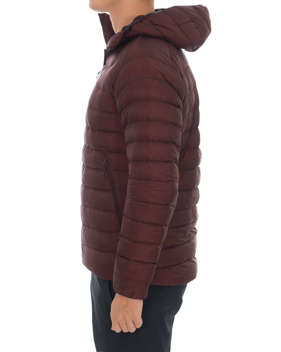 Herre | Jakker | Arc'teryx | Cerium LT Quilted Shell Hooded Down Jacket Flux