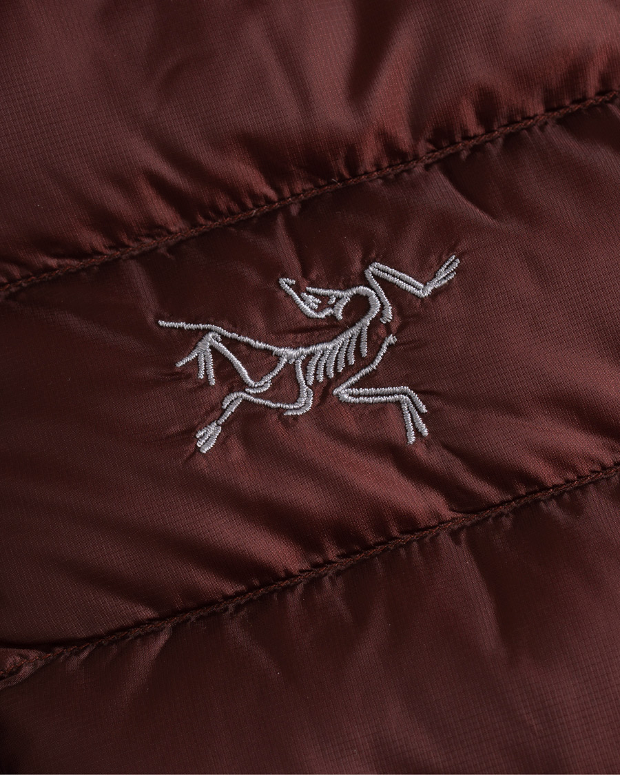 Herre | Jakker | Arc'teryx | Cerium LT Quilted Shell Hooded Down Jacket Flux