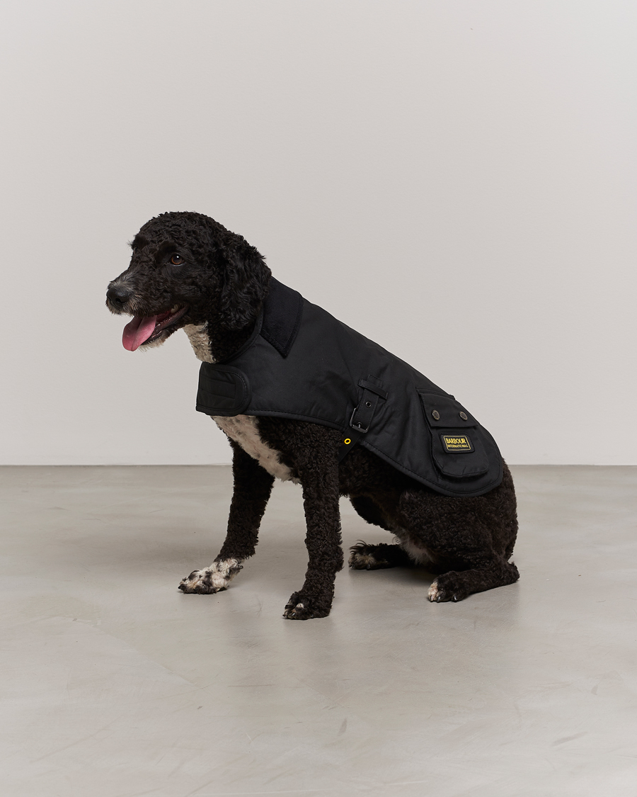 Herre | Avdelinger | Barbour International | Dog Coat Black