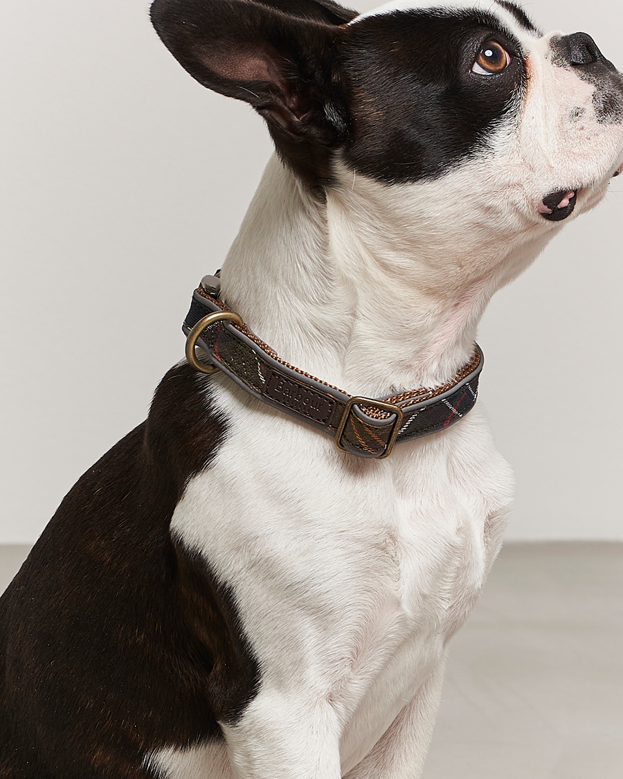 Herre | Barbour International Reflective Tartan Dog Collar Classic | Barbour International | Reflective Tartan Dog Collar Classic