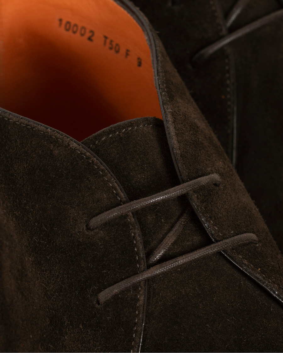 Herre | Santoni Wembley Chukka Boot Dark Brown Suede | Santoni | Wembley Chukka Boot Dark Brown Suede