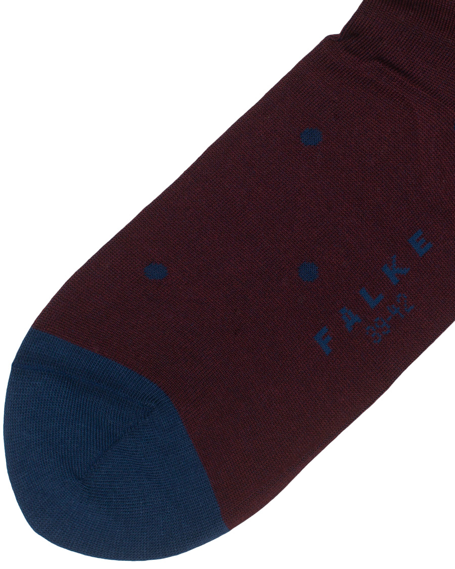 Herre |  | Falke | Cotton Dot Sock Barolo/Navy