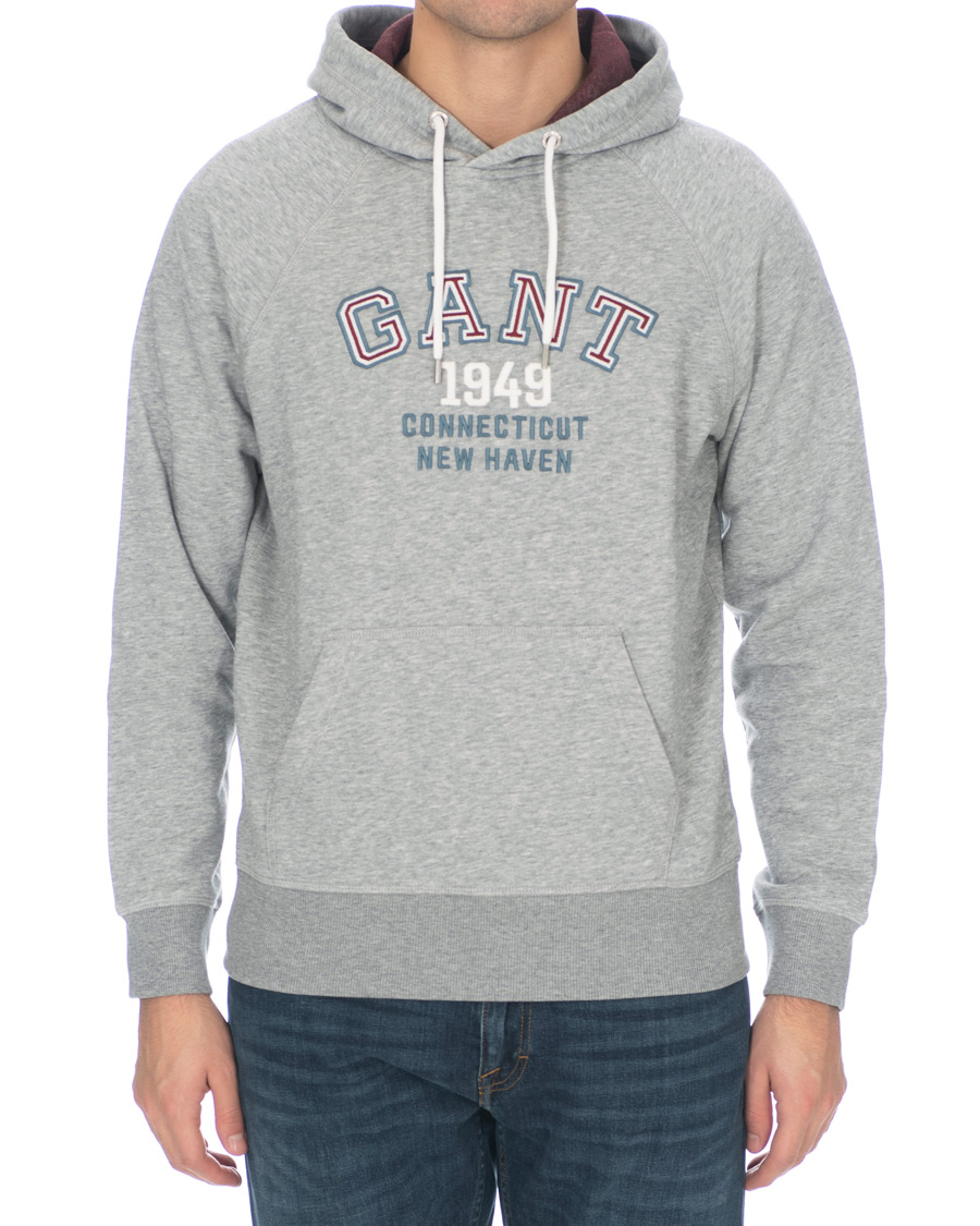 Herre | Gensere | GANT | Graphic Sweat Hoodie Grey Melange