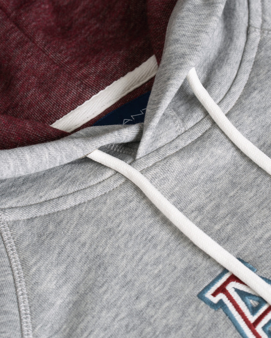 Herre | Gensere | GANT | Graphic Sweat Hoodie Grey Melange