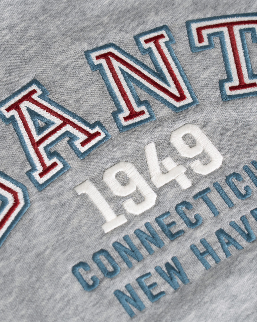 Herre | Gensere | GANT | Graphic Sweat Hoodie Grey Melange