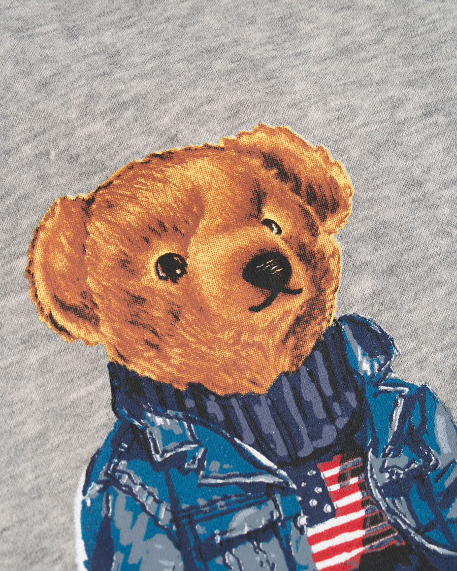 Herre | Gensere | Polo Ralph Lauren | Bear Hoodie Andover Heather