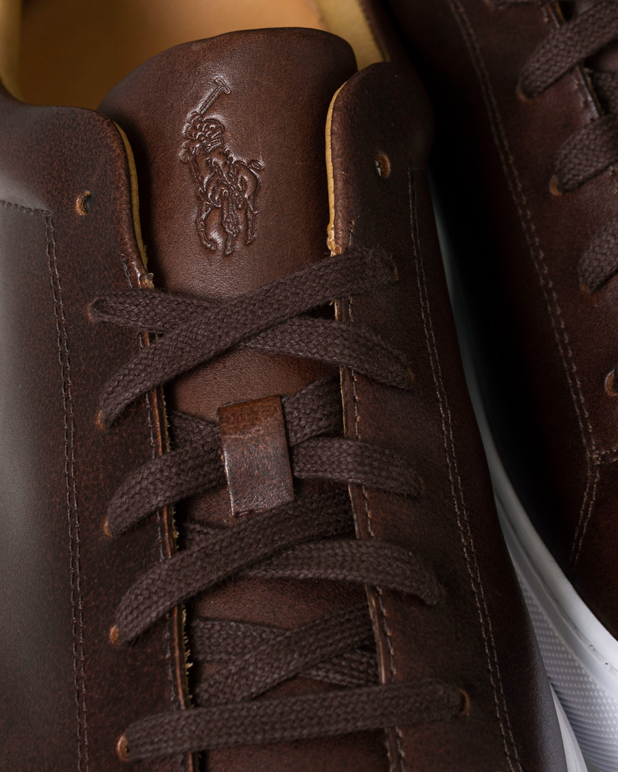 Herre | Polo Ralph Lauren Jermain II Sneaker Brown | Polo Ralph Lauren | Jermain II Sneaker Brown