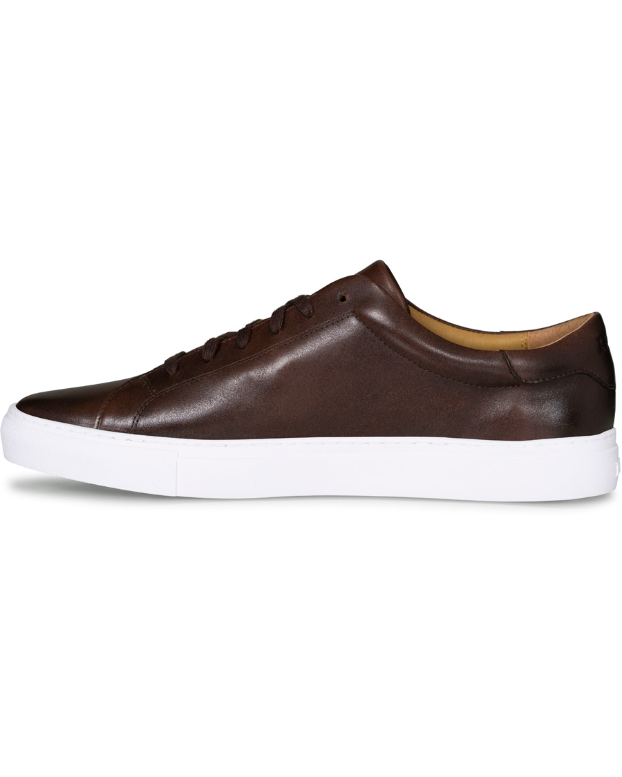 Herre | Polo Ralph Lauren Jermain II Sneaker Brown | Polo Ralph Lauren | Jermain II Sneaker Brown
