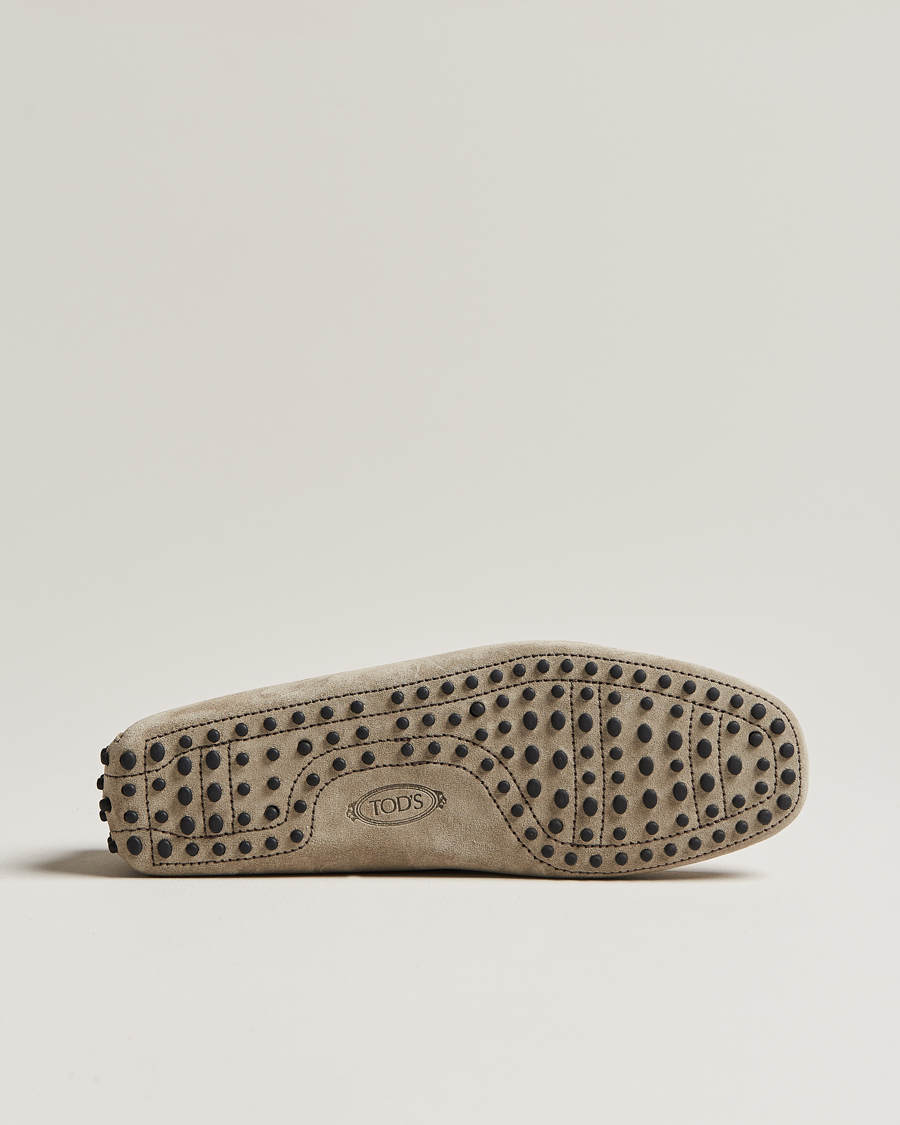 Herre | Tod's Lacetto Gommino Carshoe Taupe Suede | Tod's | Lacetto Gommino Carshoe Taupe Suede