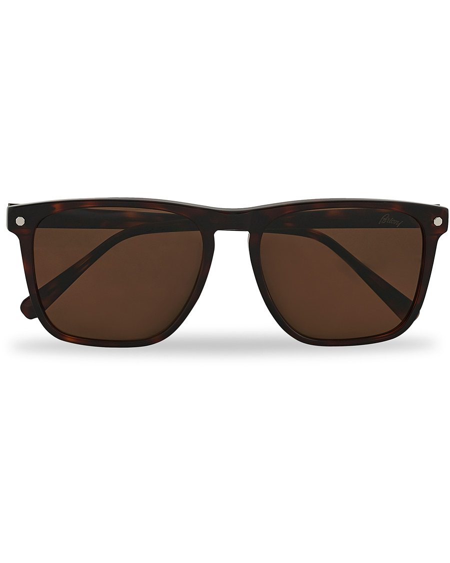 Herre | Buede solbriller | Brioni | BR0086S Sunglasses Havana/Brown