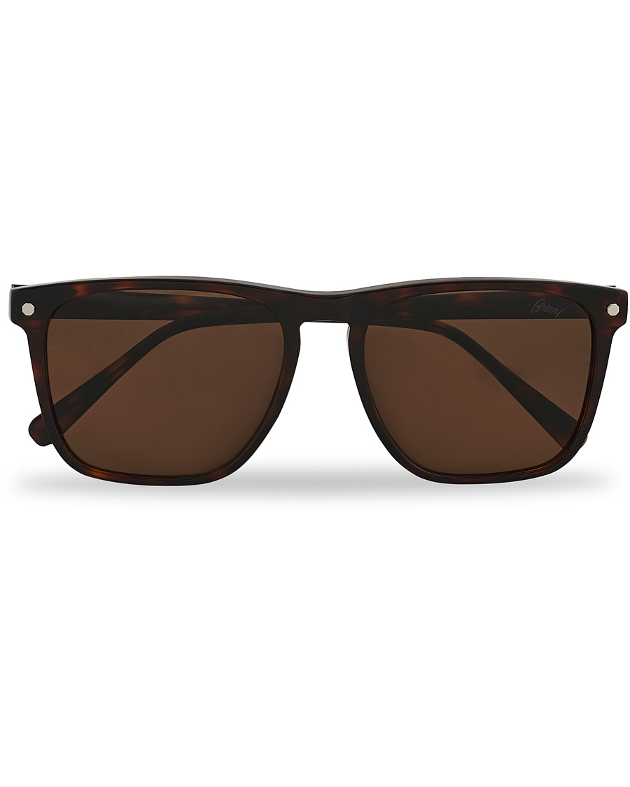 Herre | Brioni BR0086S Sunglasses Havana/Brown | Brioni | BR0086S Sunglasses Havana/Brown