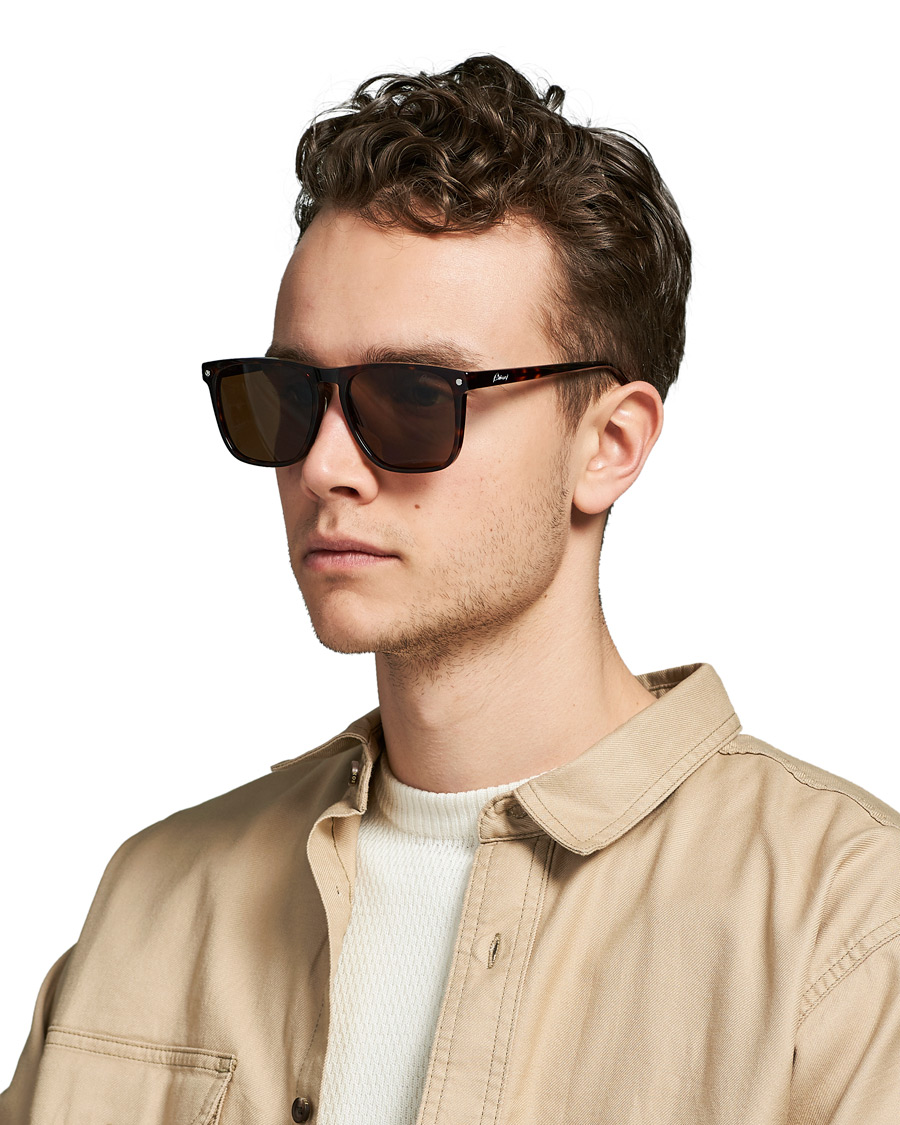Herre | Brioni BR0086S Sunglasses Havana/Brown | Brioni | BR0086S Sunglasses Havana/Brown